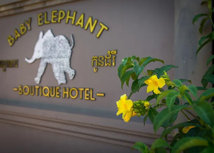 Baby Elephant Boutique Hotel 3*