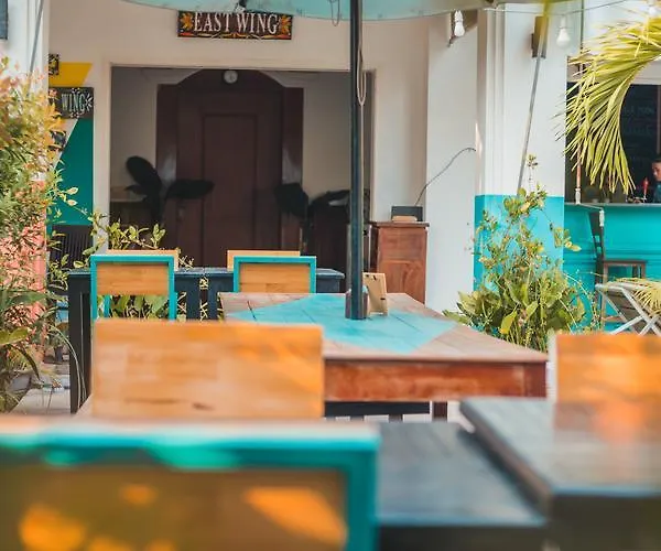 Hotel Baby Elephant Boutique